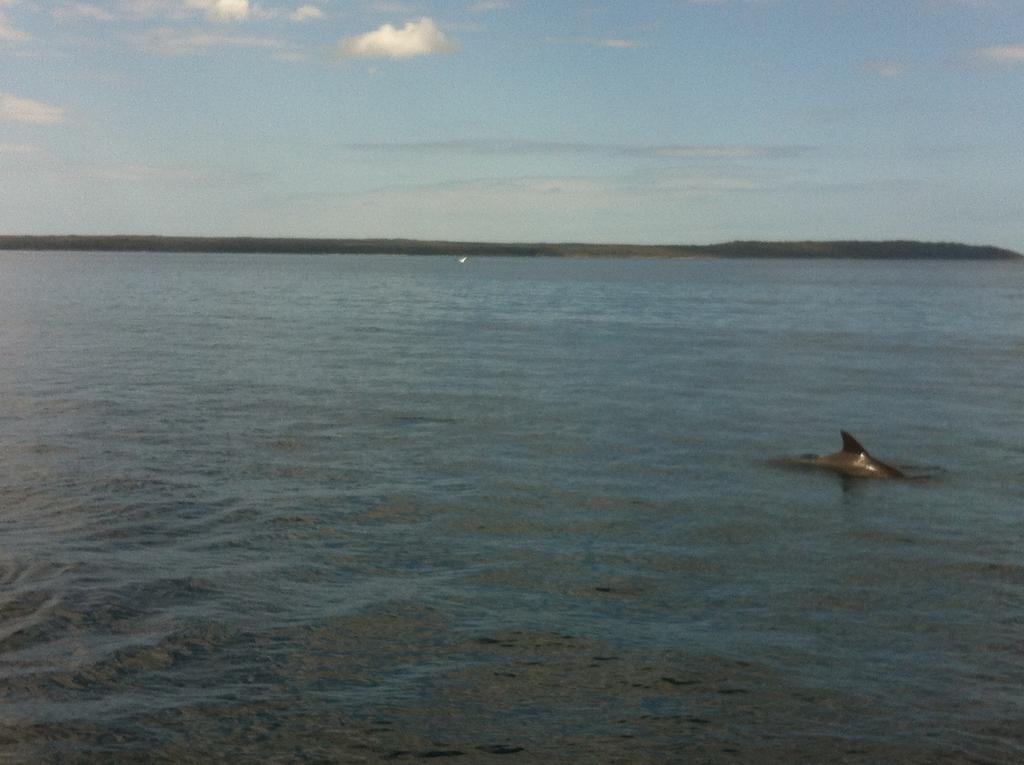 Мотель Jervis Bay Mariners Гаскіссон Екстер'єр фото